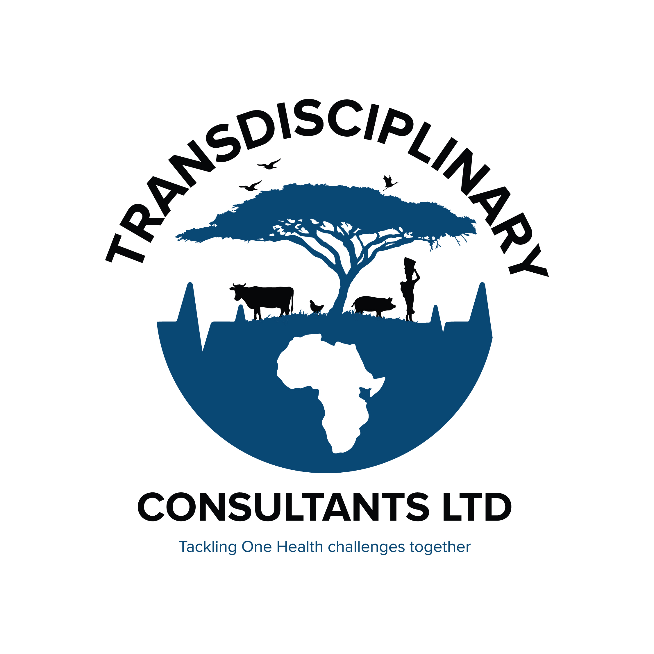 Transdisciplinary Consultants